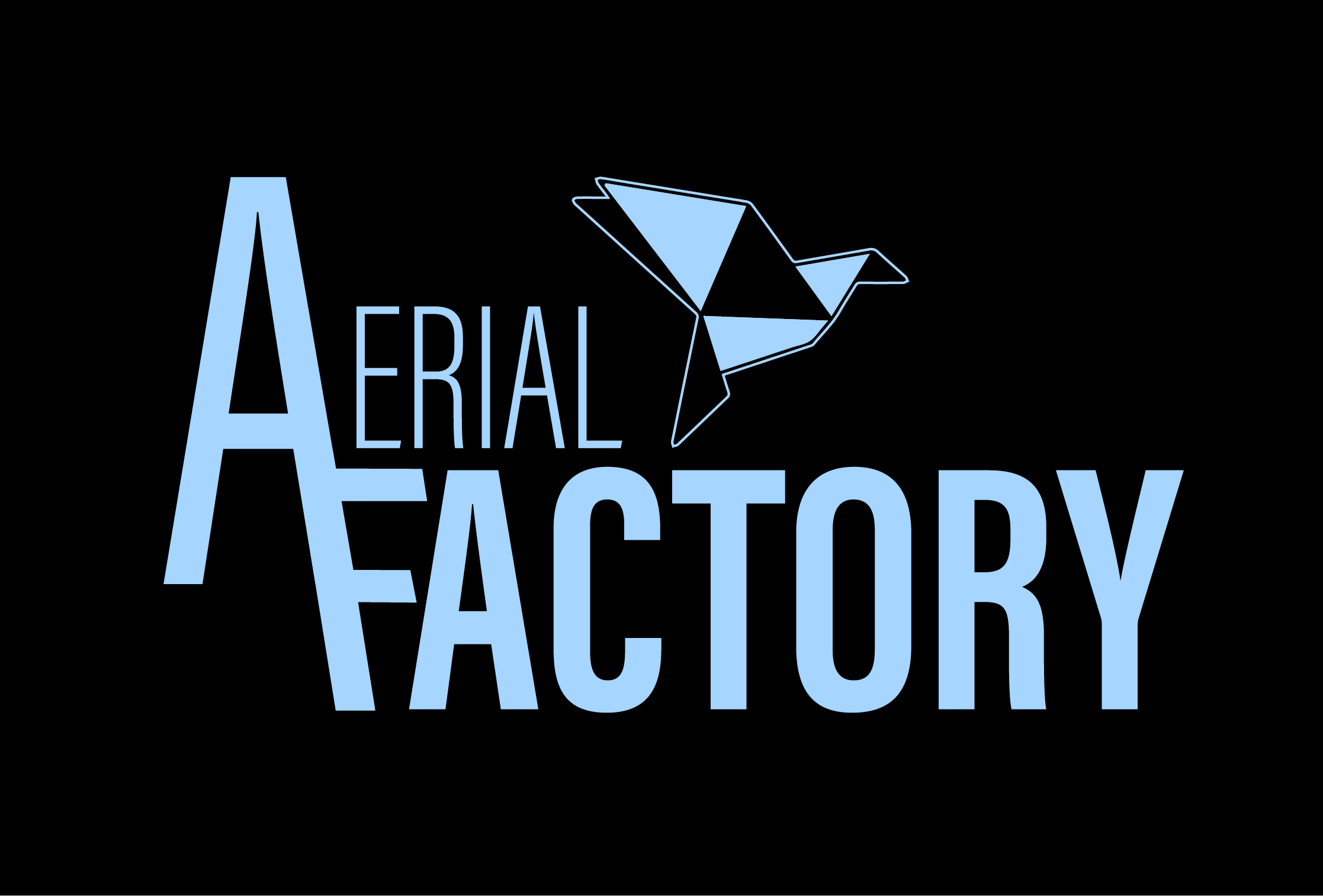 Aerial Factory Grip